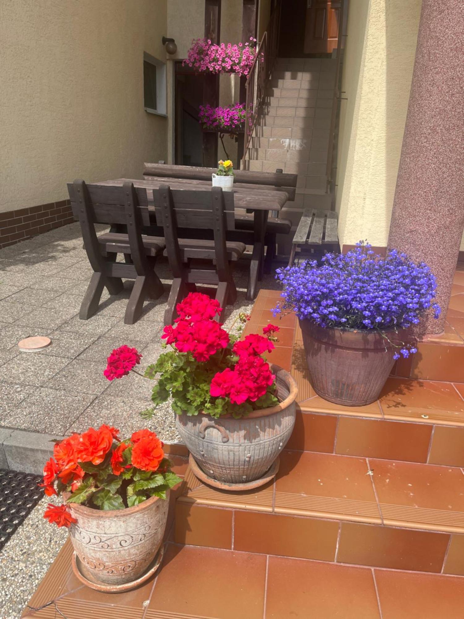 Dom Muszelka Hotel ครีนิซามอร์สกา ภายนอก รูปภาพ